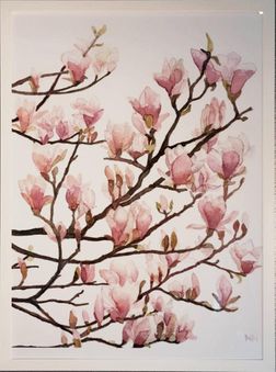 affisch magnolia